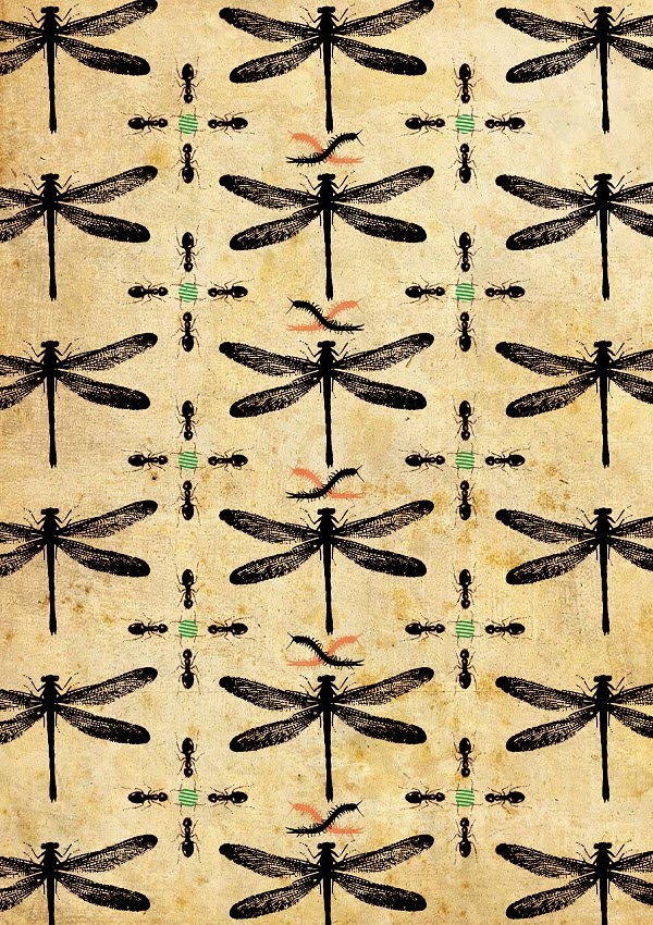 Парад лучших стрекоз [Parade of the best dragonflies]